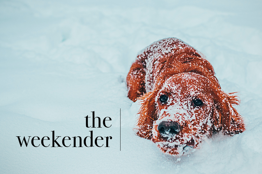 The Weekender | AAA Minneapolis